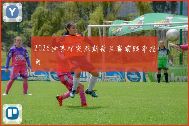 2026世界杯突尼斯荷兰赛前赔率指南
