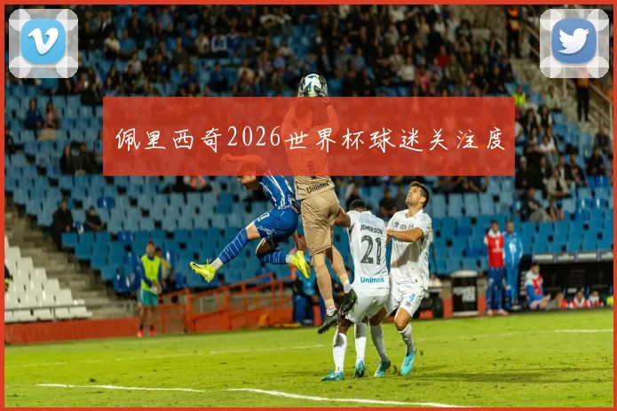 佩里西奇2026世界杯球迷关注度