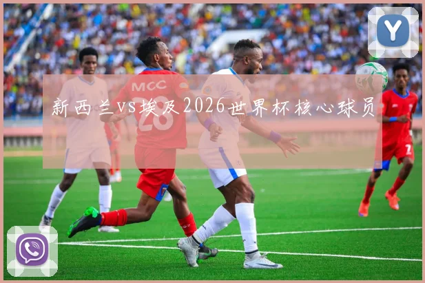 新西兰vs埃及2026世界杯核心球员