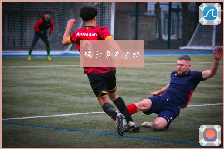 瑞士争夺金杯
