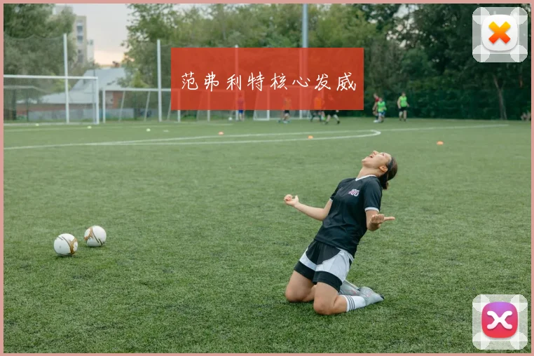 范弗利特核心发威