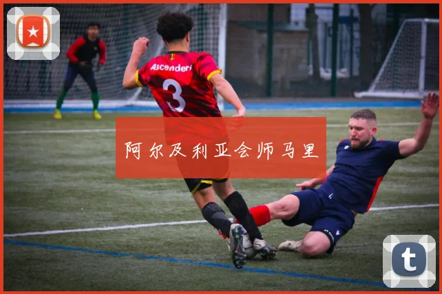 阿尔及利亚会师马里