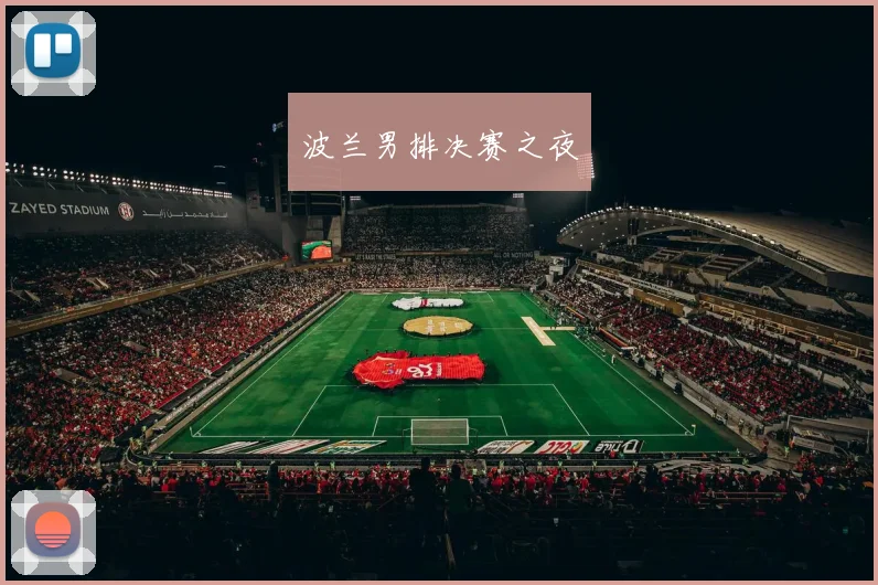 波兰男排决赛之夜