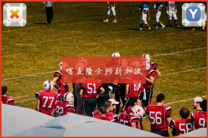 喀麦隆会师新加坡