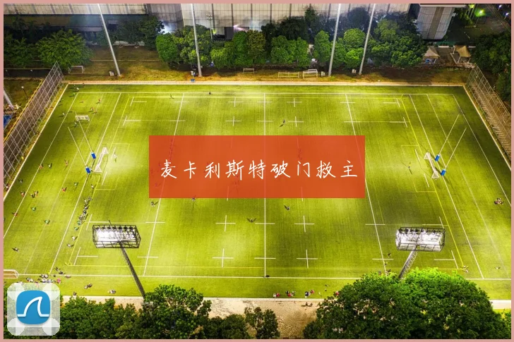 麦卡利斯特破门救主