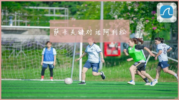 萨卡关键对话阿利松