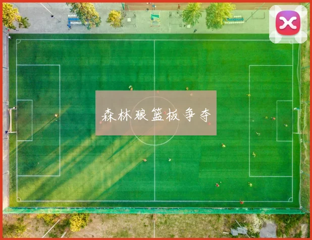 森林狼篮板争夺