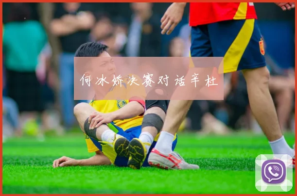 何冰娇决赛对话辛杜