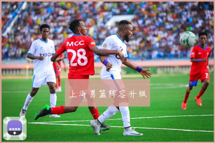 上海男篮阵容升级