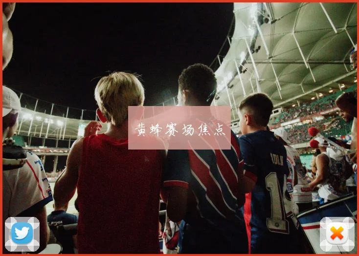 黄蜂赛场焦点