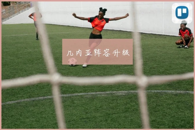 几内亚阵容升级