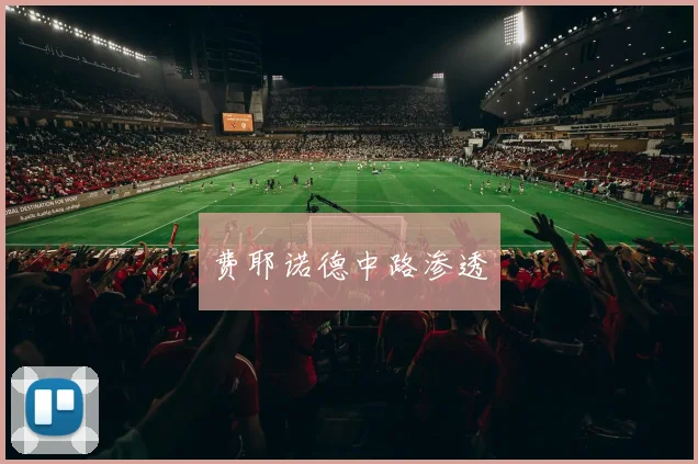 费耶诺德中路渗透