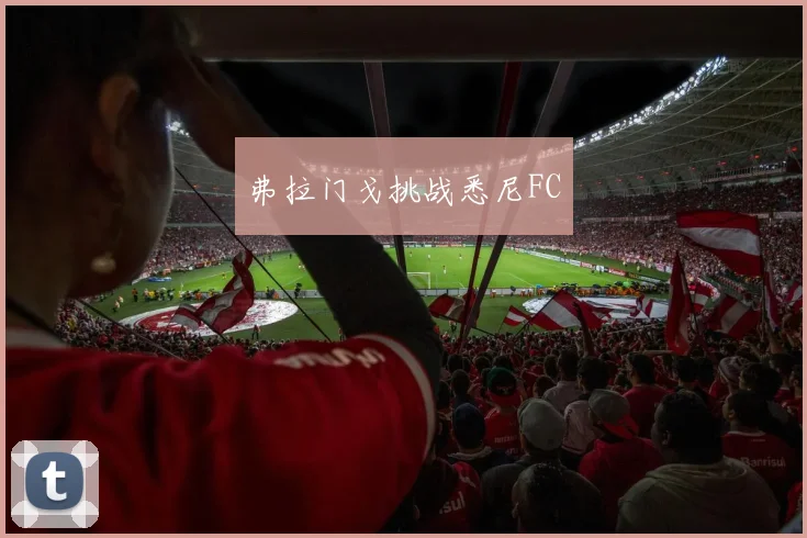 弗拉门戈挑战悉尼FC