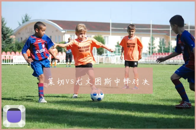 莱切vs尤文图斯中锋对决