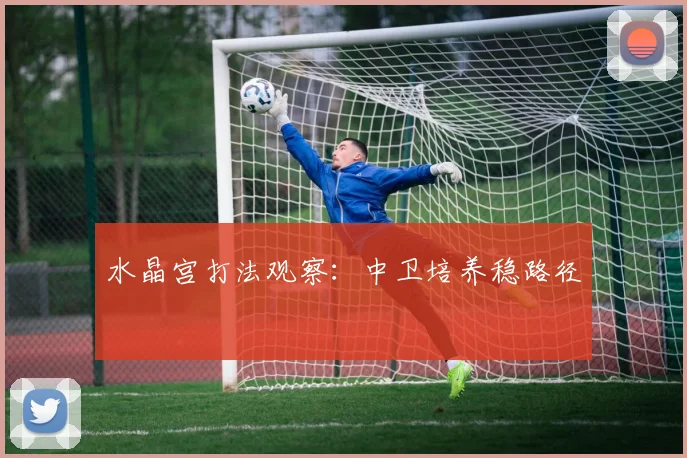 水晶宫打法观察:中卫培养稳路径