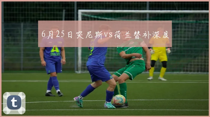 6月25日突尼斯vs荷兰替补深度