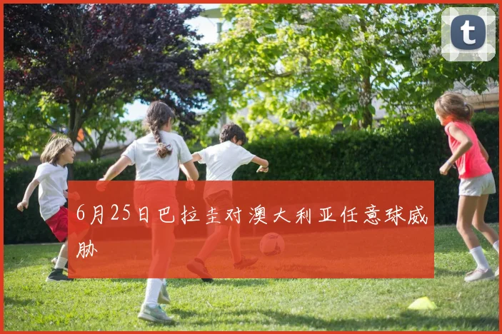 6月25日巴拉圭对澳大利亚任意球威胁